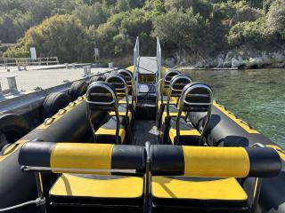 Passager boat Narwhal Fast 900 for sale